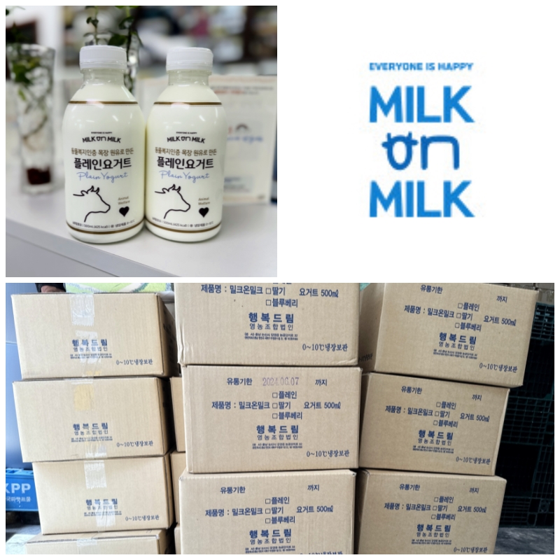 �����̹�������:layout 2024-6-3 (1)_2.jpg